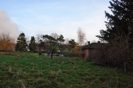 auenheim