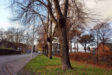 auenheim