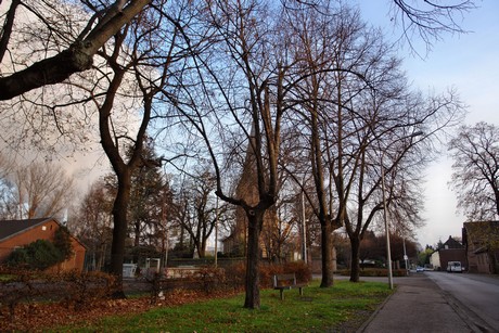 auenheim