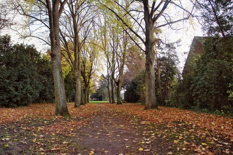 auenheim