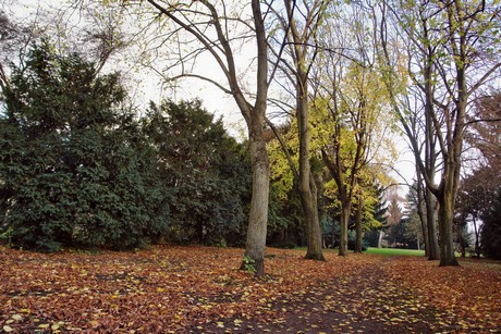 auenheim