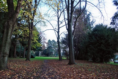auenheim