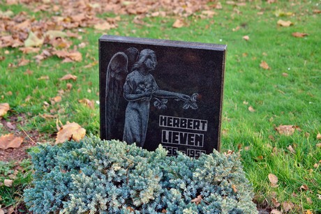 auenheim-friedhof