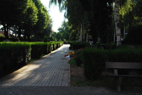 friedhof