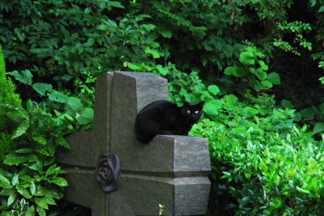 friedhof