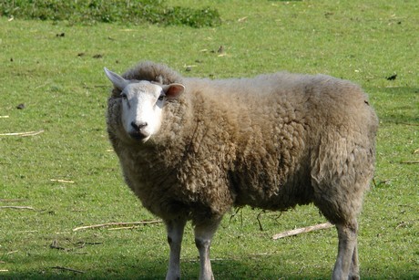 huechelhoven