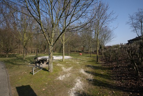 quadrath-ichendorf