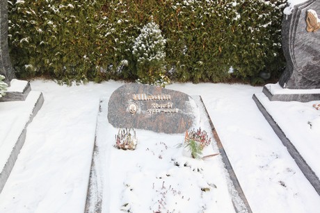 friedhof