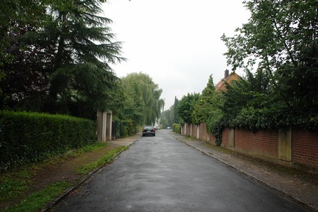 frankenforst
