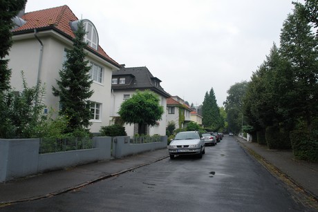 frankenforst