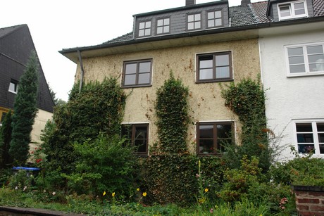 frankenforst