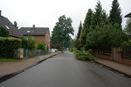 frankenforst
