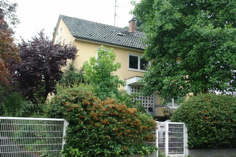 frankenforst