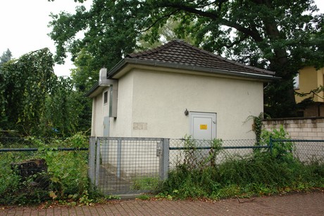frankenforst