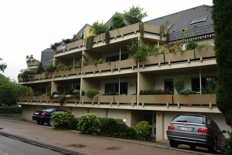 frankenforst
