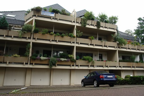 frankenforst