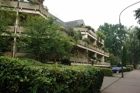 frankenforst