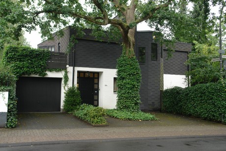 frankenforst