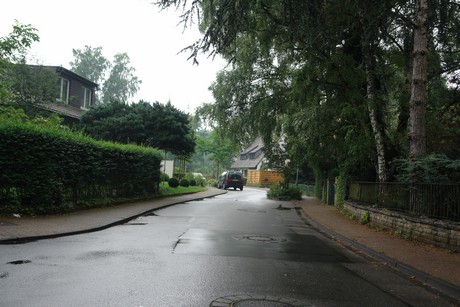 frankenforst