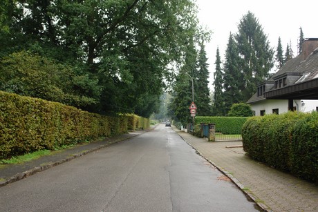 frankenforst