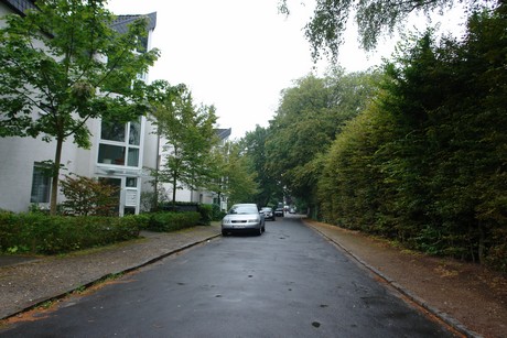 frankenforst