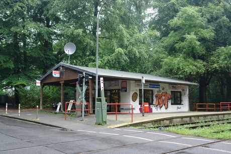 frankenforst