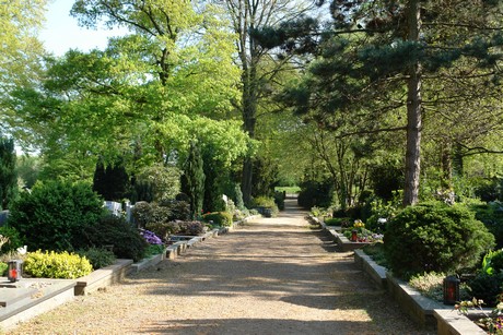 friedhof