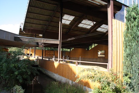 herrenstrunden