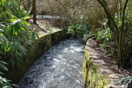 niederrengse
