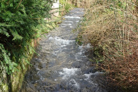 niederrengse