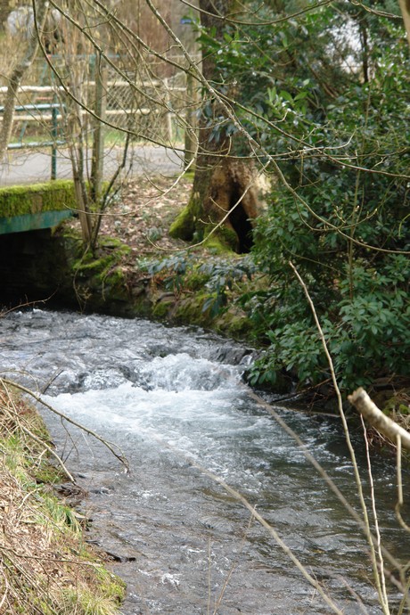 niederrengse