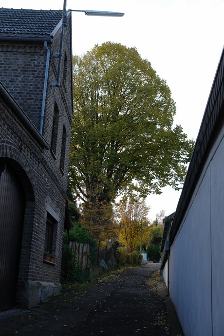 waldorf