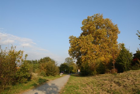ost