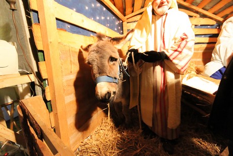 weihnachtsmarkt