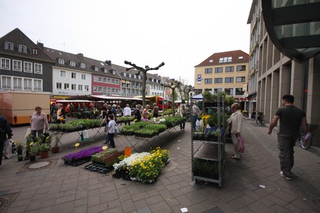 dueren-markt