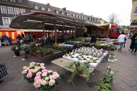 dueren-markt