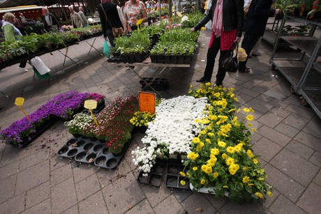 dueren-markt