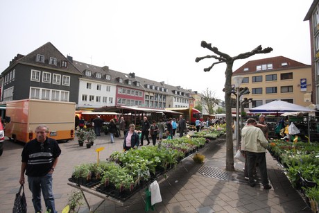 dueren-markt