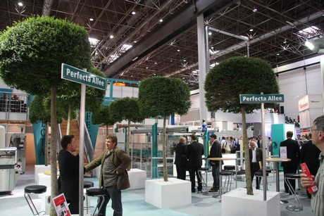 drupa