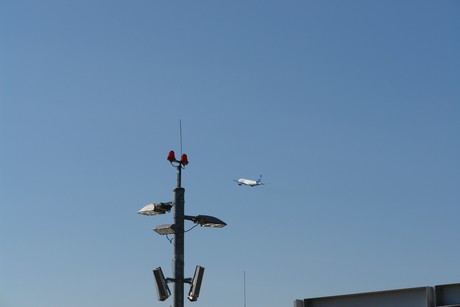 flughafen