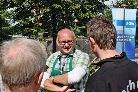 hafenfest