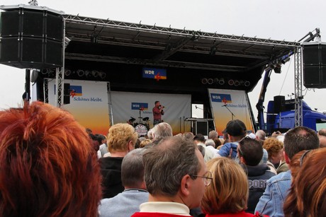 wdr4