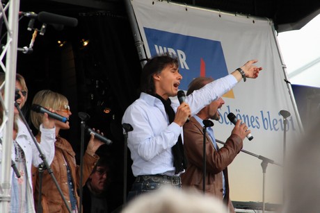 wdr4
