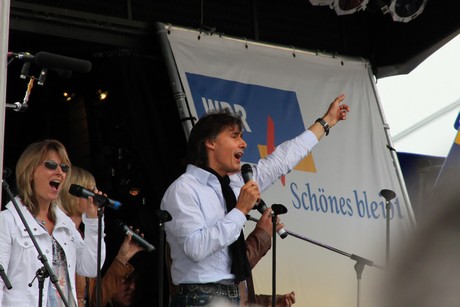 wdr4