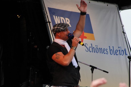 wdr4