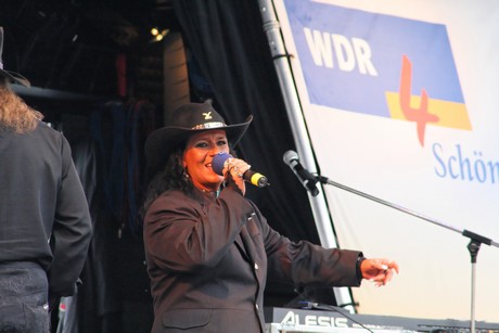 wdr4