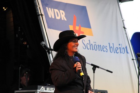 wdr4