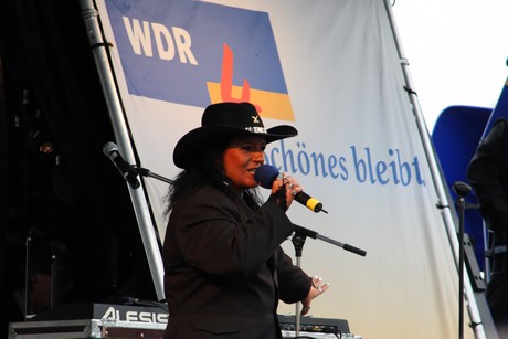 wdr4