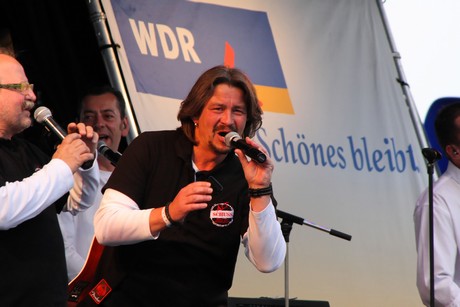 wdr4