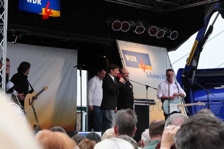 wdr4